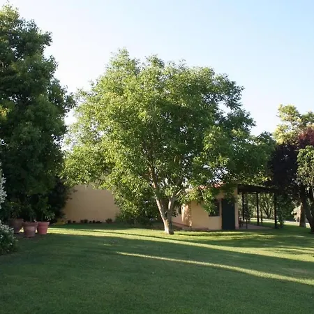 Haus Mit Gartenblick By Interhome Apartment